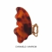 Piranha Marble Borboleta