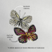 Broche Ímã Borboleta - OUTLET